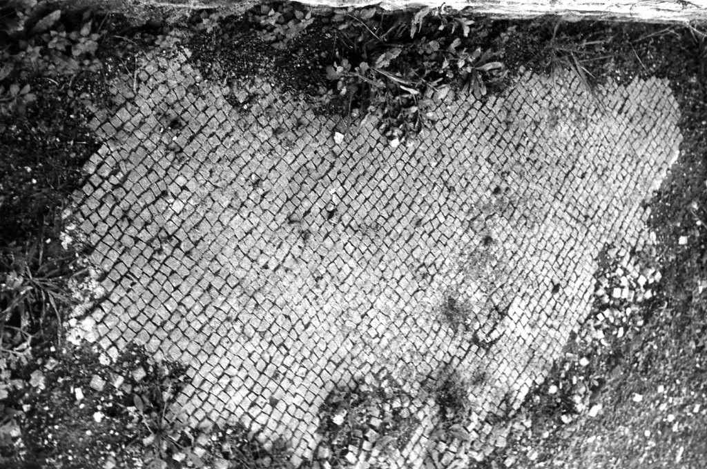 rivestimento pavimentale (sec. III d.C)
