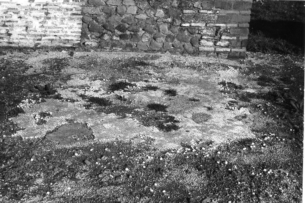 rivestimento pavimentale (sec. III d.C)