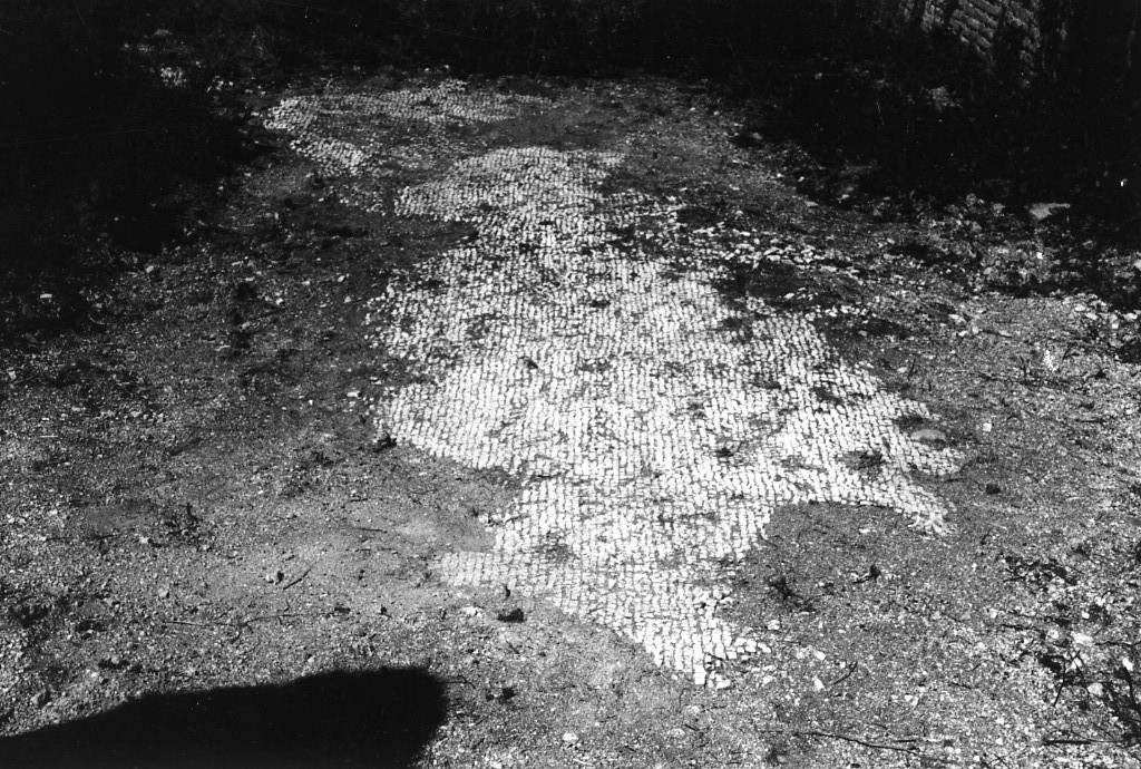 rivestimento pavimentale (sec. III d.C)