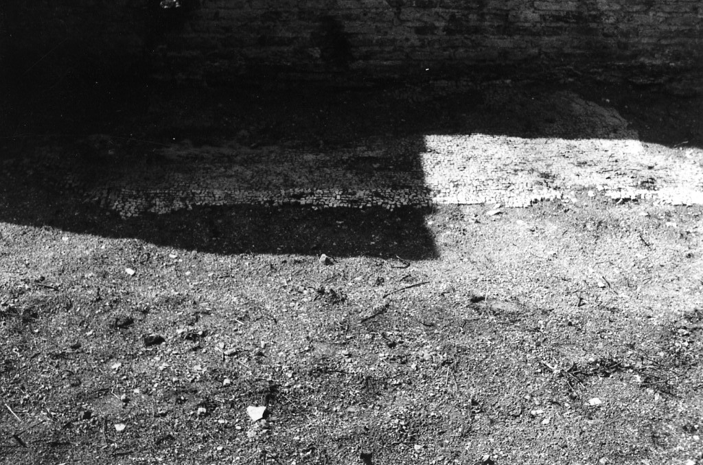 rivestimento pavimentale (sec. III d.C)