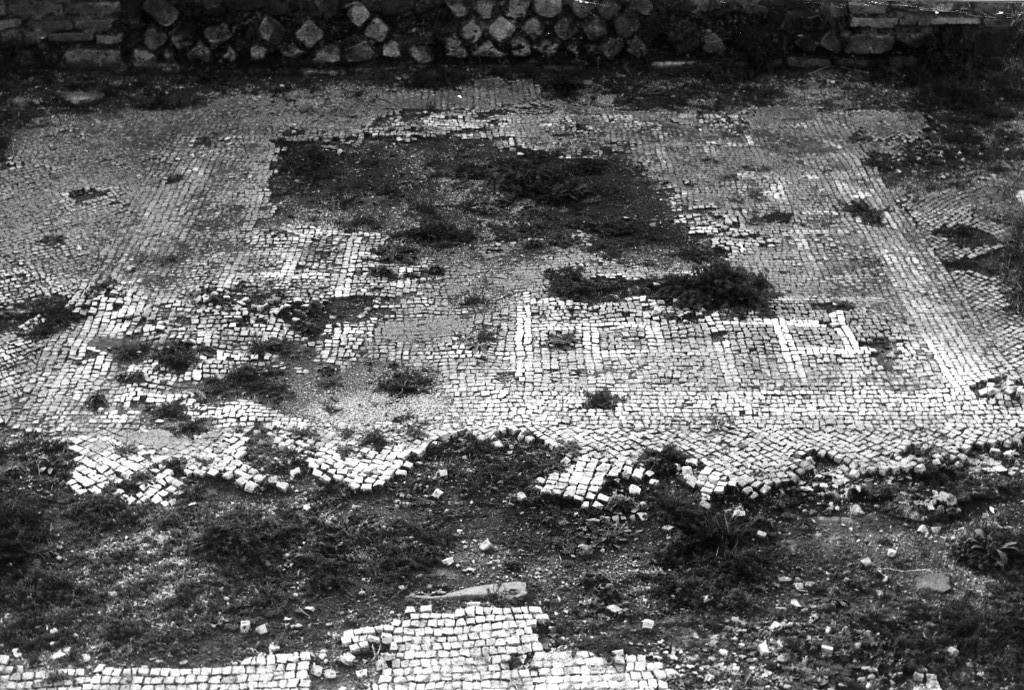 rivestimento pavimentale (non determinabile)