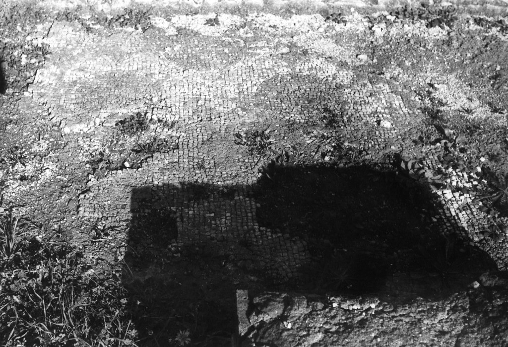 rivestimento pavimentale (sec. III d.C)