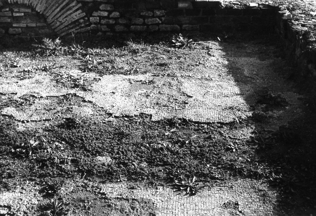 rivestimento pavimentale (sec. III d.C)