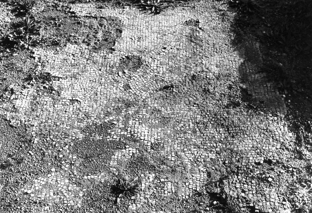 rivestimento pavimentale (sec. III d.C)