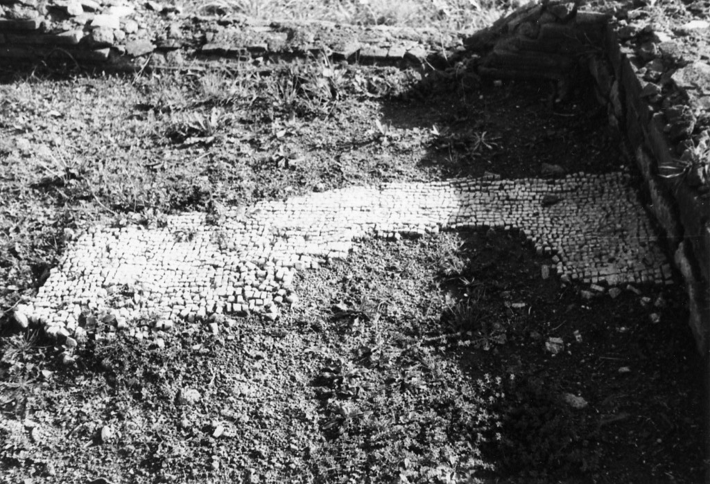 rivestimento pavimentale (sec. III d.C)