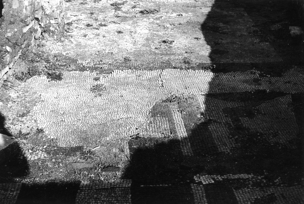 rivestimento pavimentale (sec. III d.C)