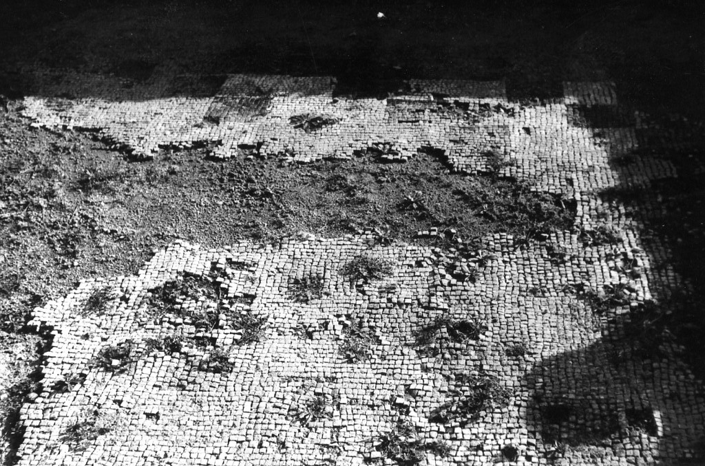 rivestimento pavimentale (sec. III d.C)