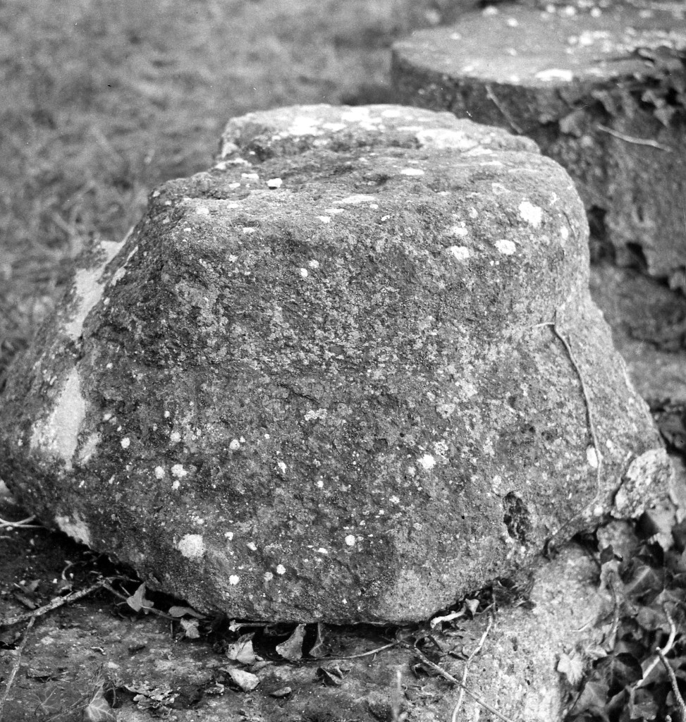 capitello tuscanico (non determinabile)