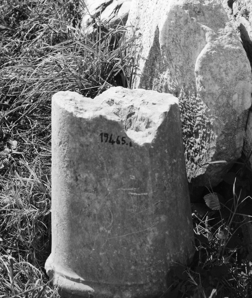 lesena (non determinabile)