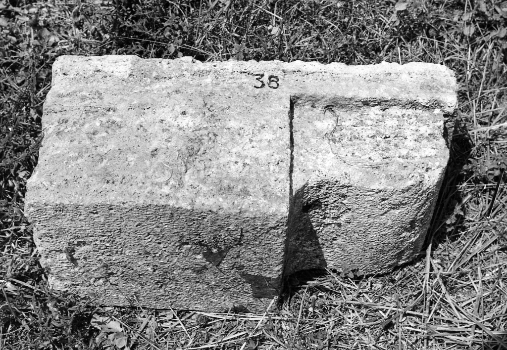 modiglione (non determinabile)