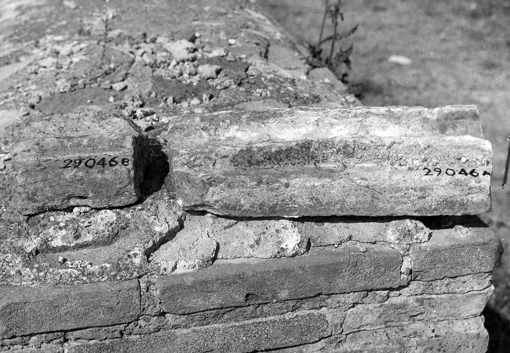 lesena (non determinabile)