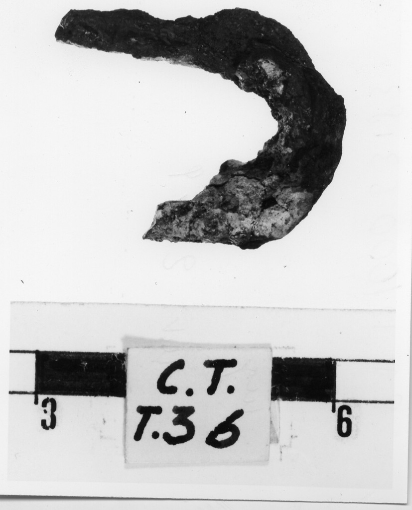fibbia - deposizione longobarda (metà sec. VII d.C)