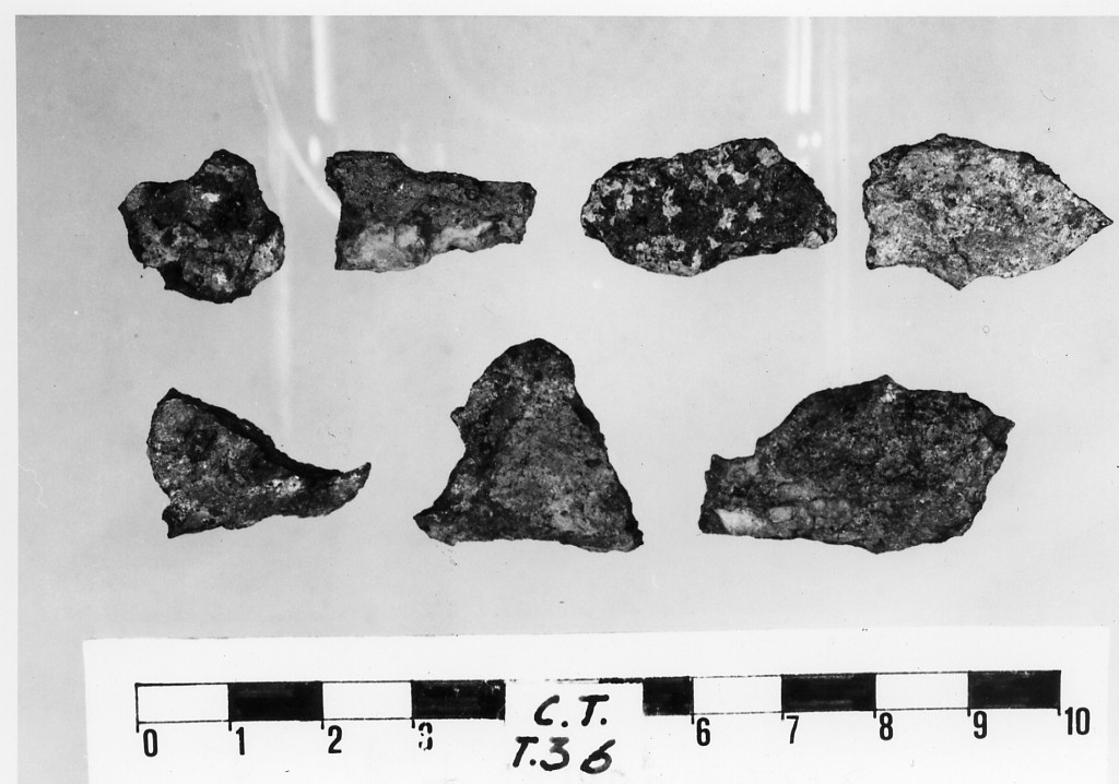 scudo/ frammento - deposizione longobarda (metà sec. VII d.C)