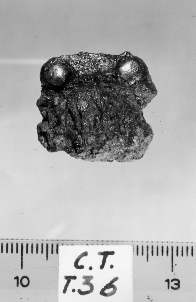 cintura/ placchetta - deposizione longobarda (metà sec. VII d.C)