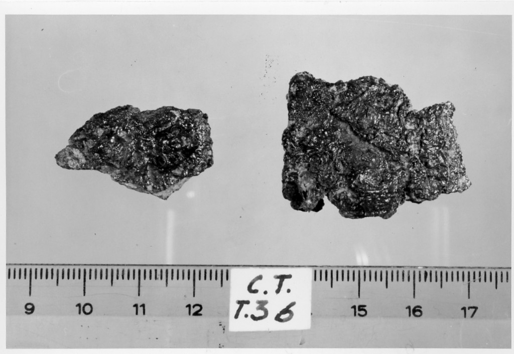 cintura/ placchetta - deposizione longobarda (metà sec. VII d.C)