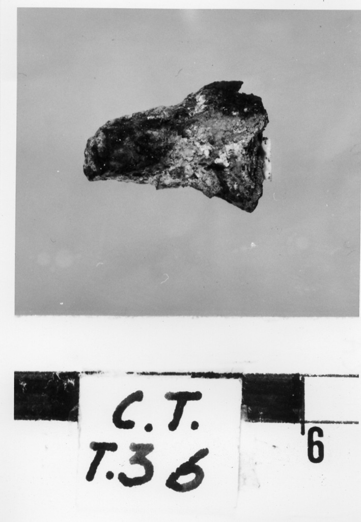 finimento equino - deposizione longobarda (metà sec. VII d.C)