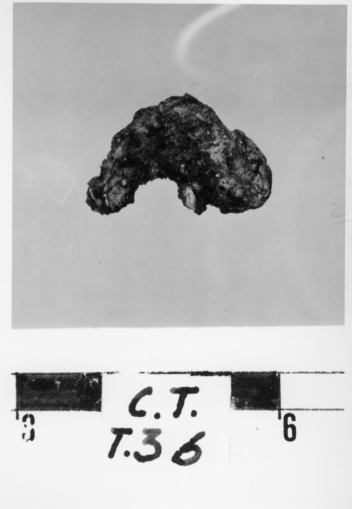finimento equino - deposizione longobarda (metà sec. VII d.C)