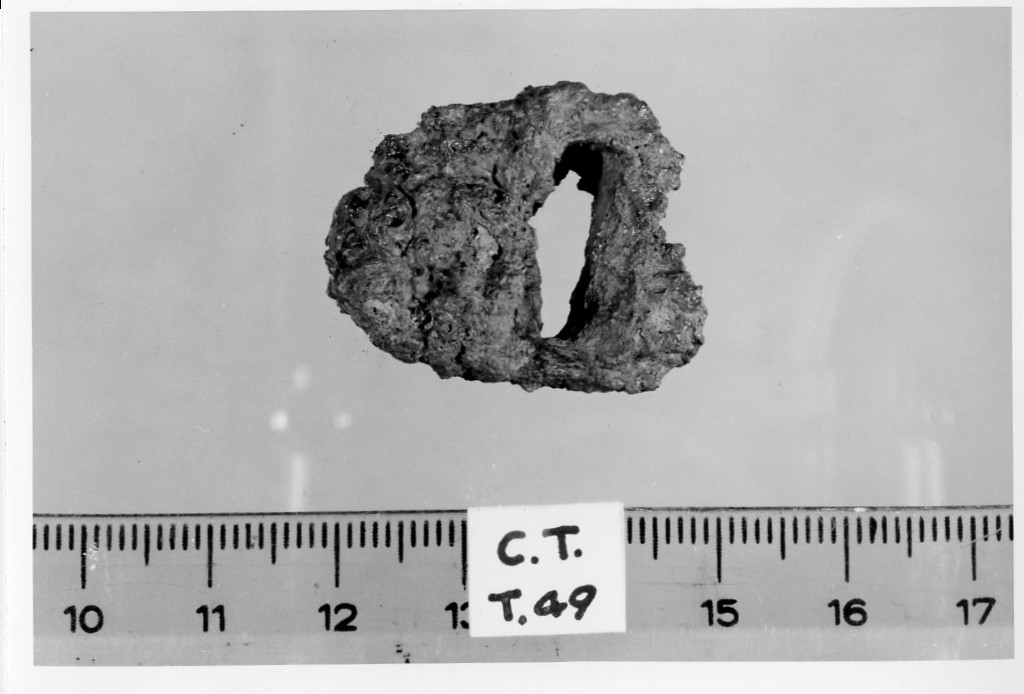 morso equino/ frammento - deposizione longobarda (sec. VII d.C)