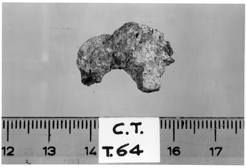 fibbia/ frammento - deposizione longobarda (secc. VI d.C.-VII d.C)