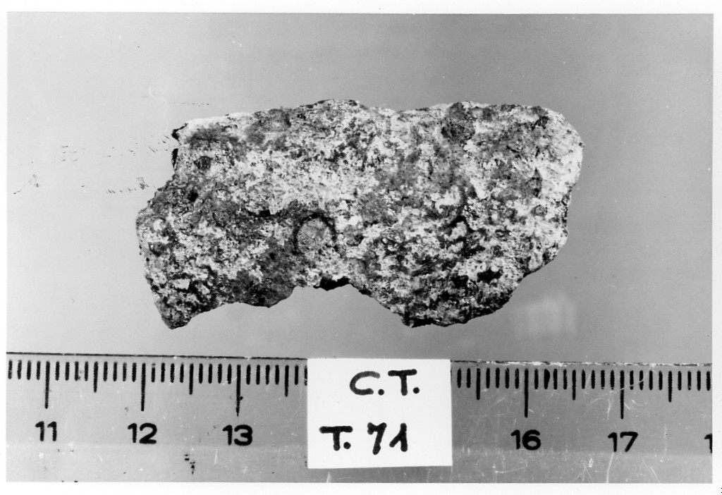 scudo/ frammento - deposizione longobarda (primo quarto sec. VII d.C)