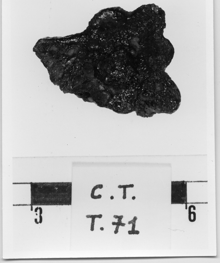 cintura/ controplacca - deposizione longobarda (primo quarto sec. VII d.C)