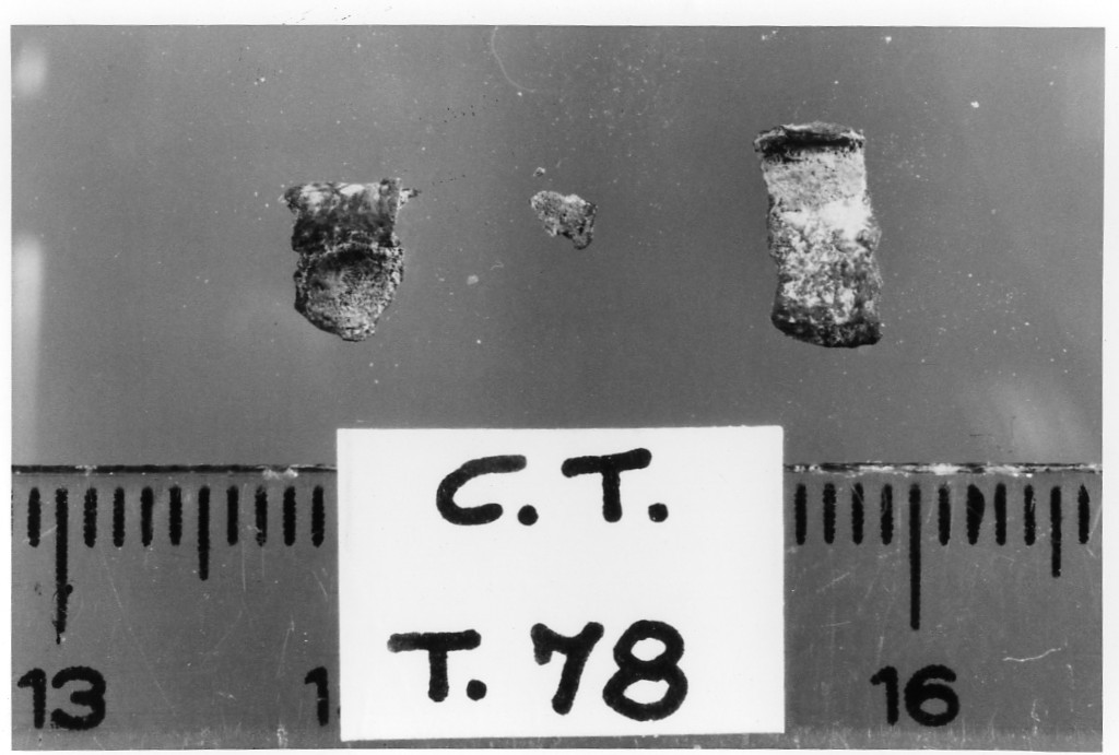 guarnizione - deposizione longobarda (fine/ inizio secc. VI d.C.-VII d.C)