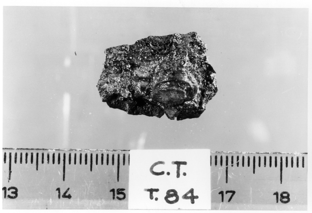 placca - deposizione longobarda (fine/ fine secc. VI d.C.-VII d.C)