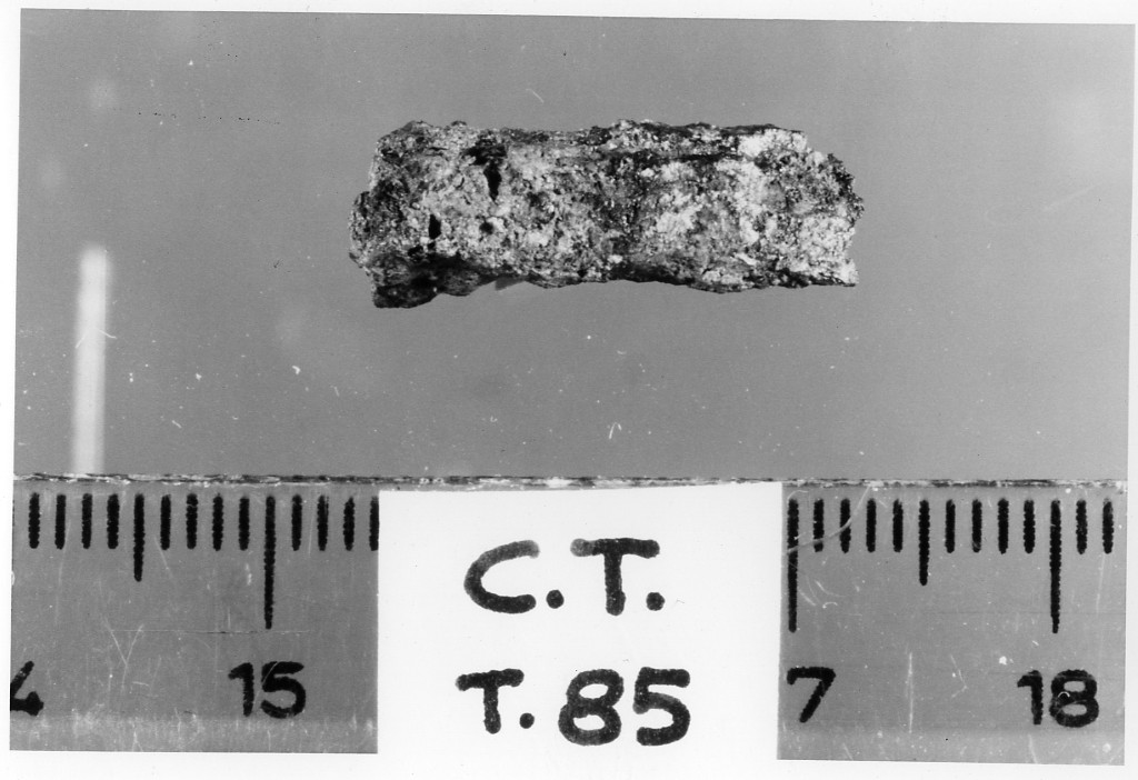 anello di fibbia - deposizione longobarda (fine/ inizio secc. VI d.C.-VII d.C)