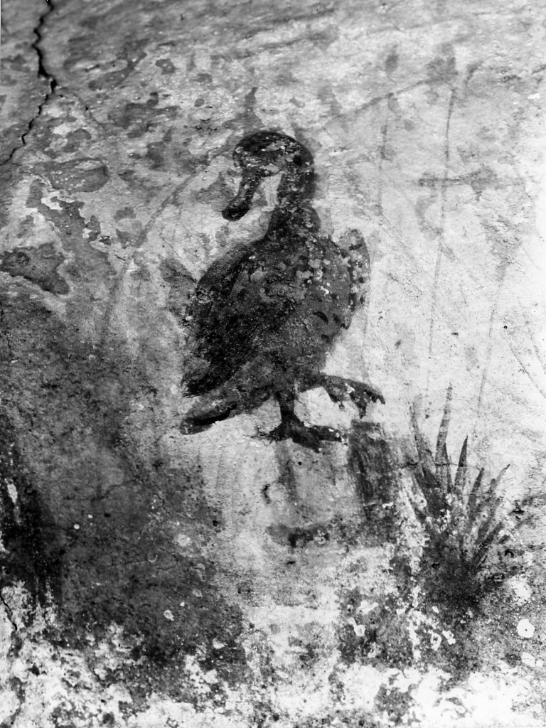 rivestimento parietale (sec. III d.C)