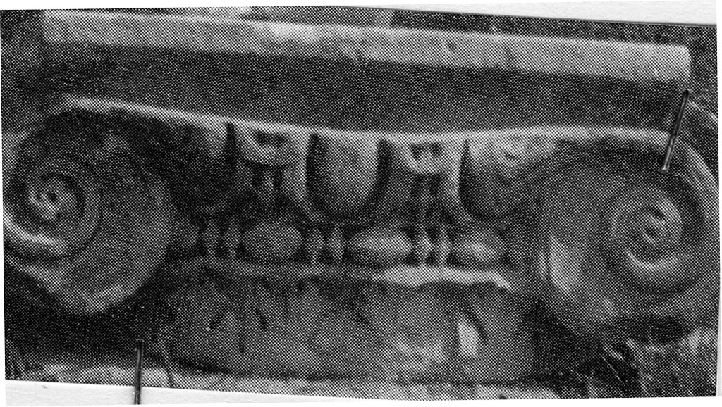 capitello ionico (non determinabile)