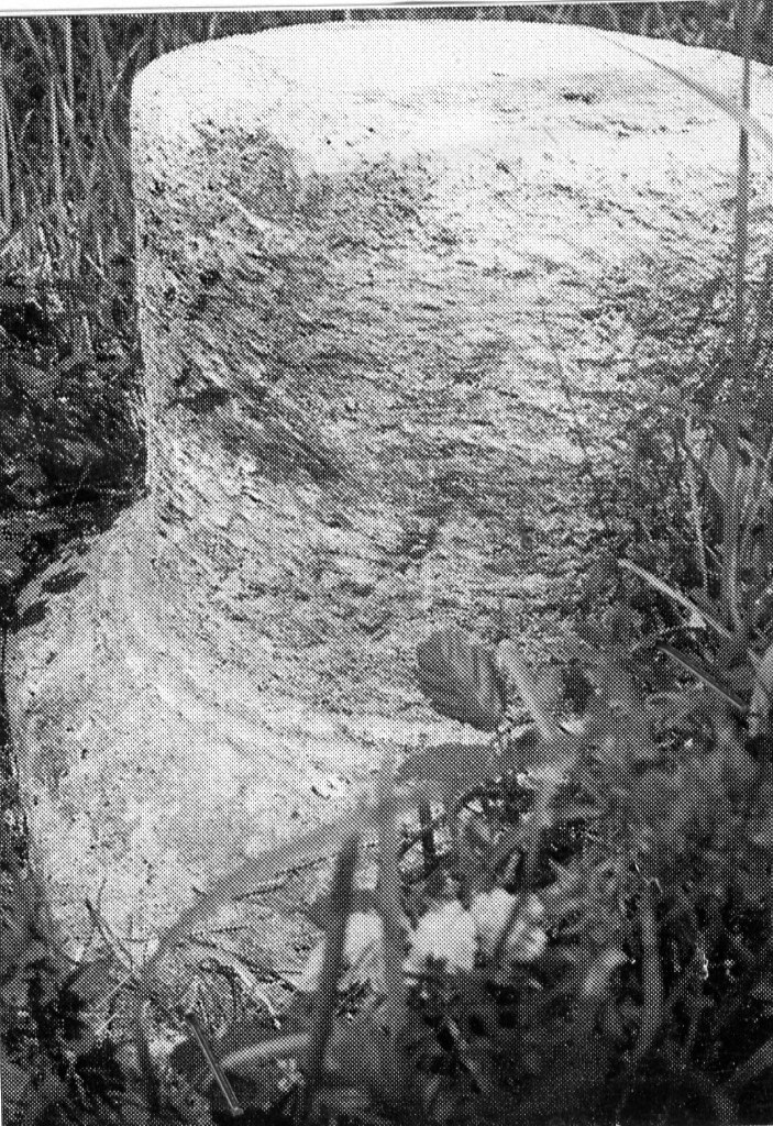 capitello tuscanico (seconda metà sec. I a.C)