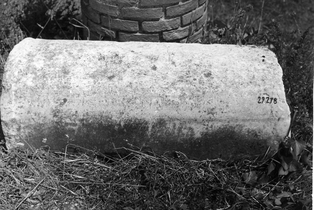 colonna (non determinabile)