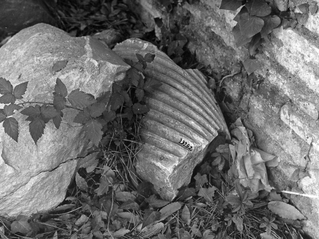 colonna (non determinabile)