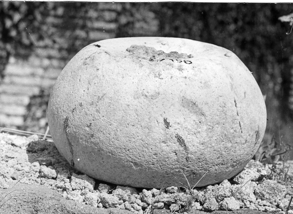 peso (non determinabile)