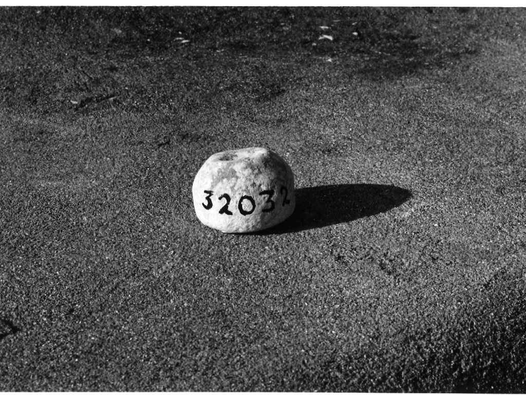 peso (non determinabile)