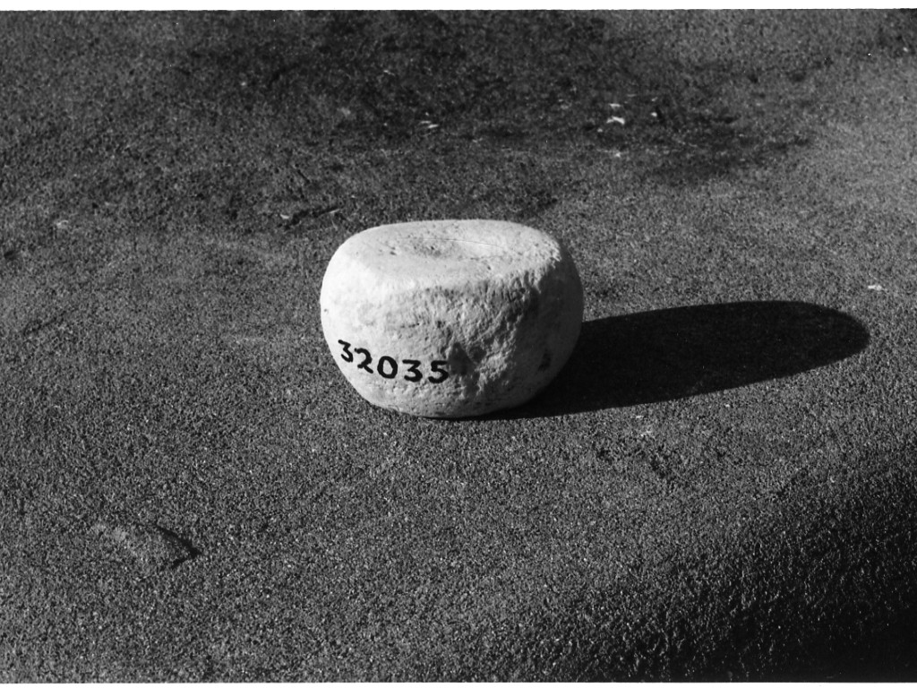 peso (non determinabile)