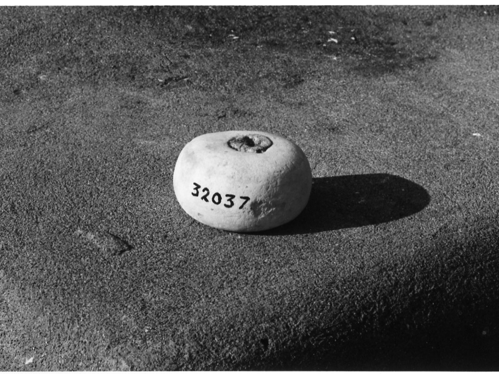 peso (non determinabile)