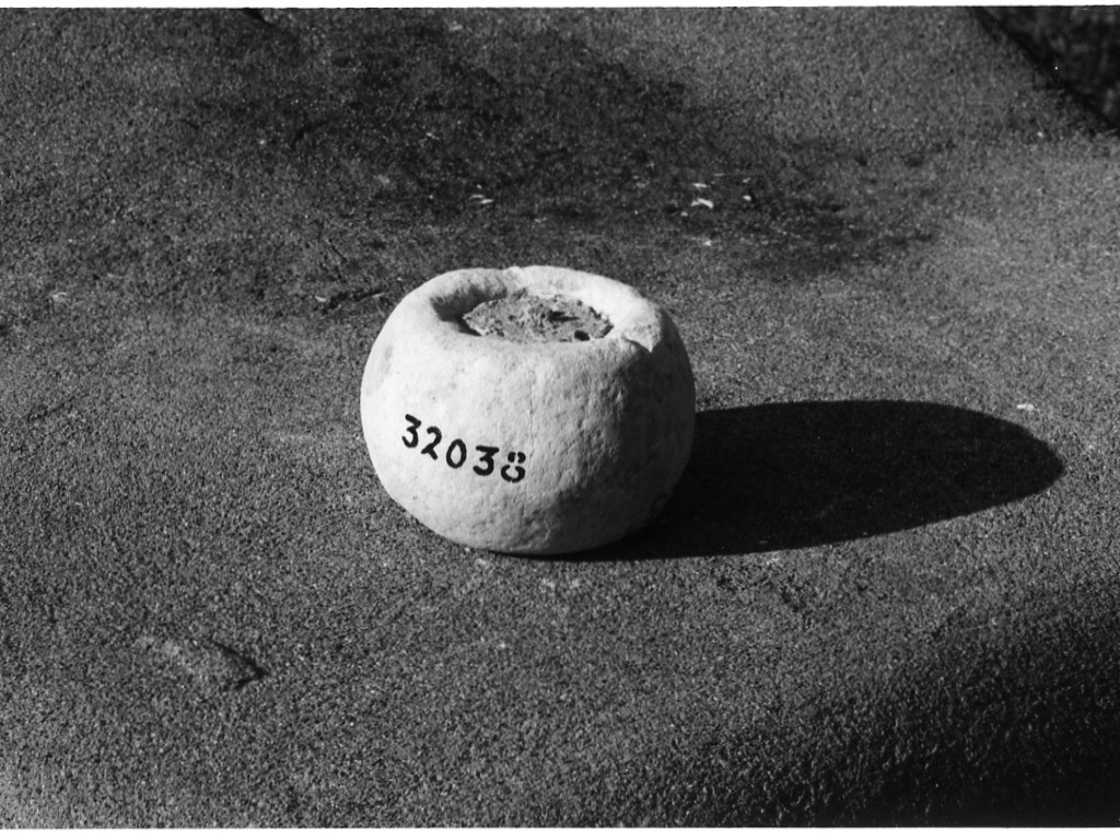 peso (non determinabile)