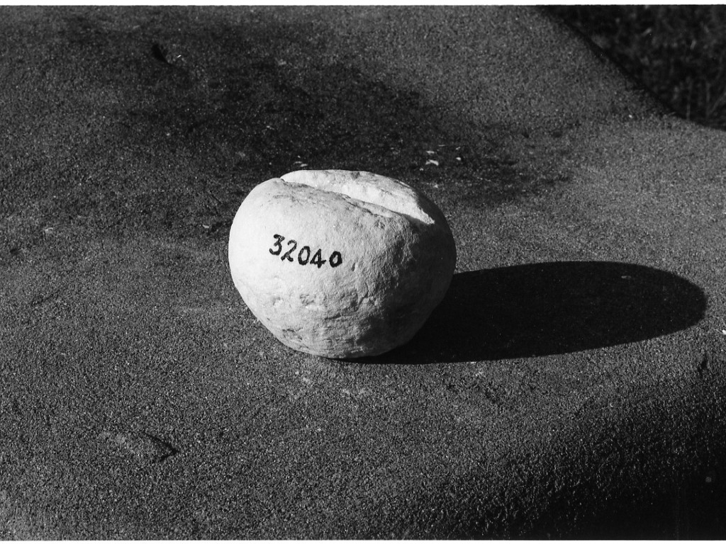 peso (non determinabile)