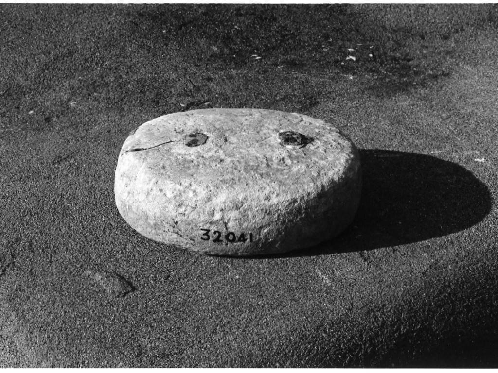 peso (non determinabile)