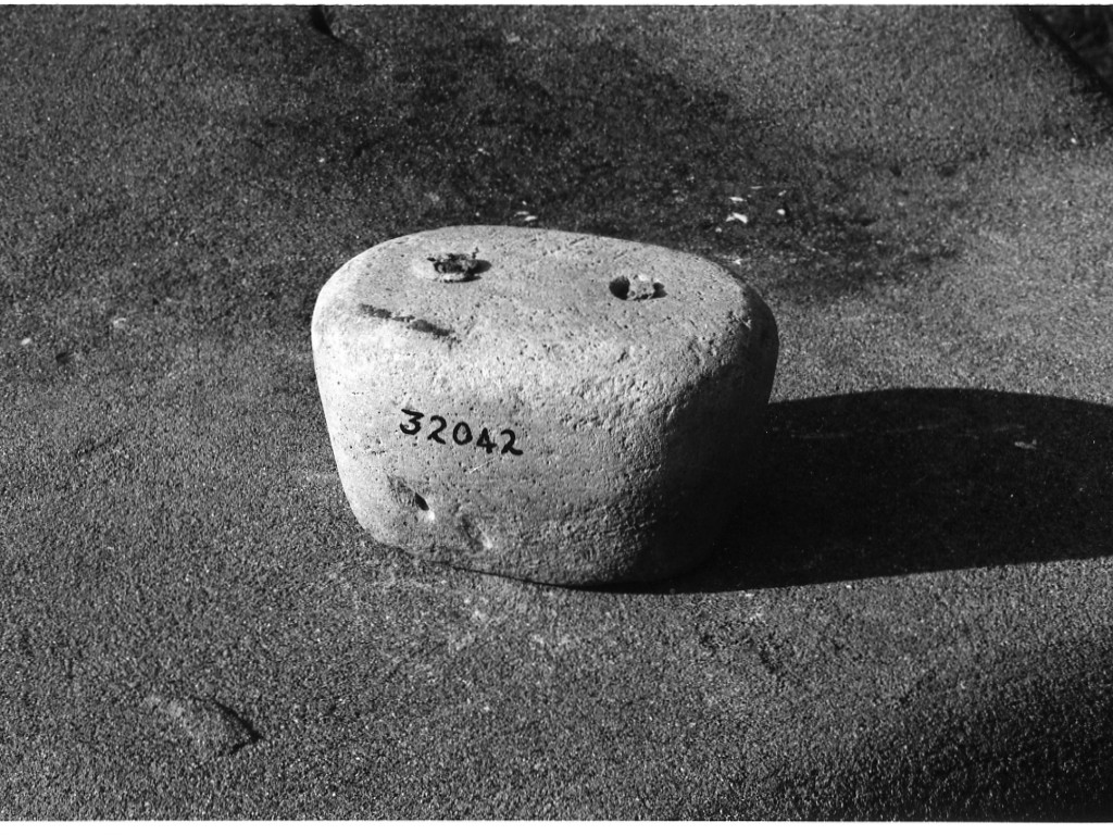 peso (non determinabile)