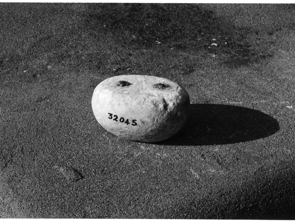 peso (non determinabile)