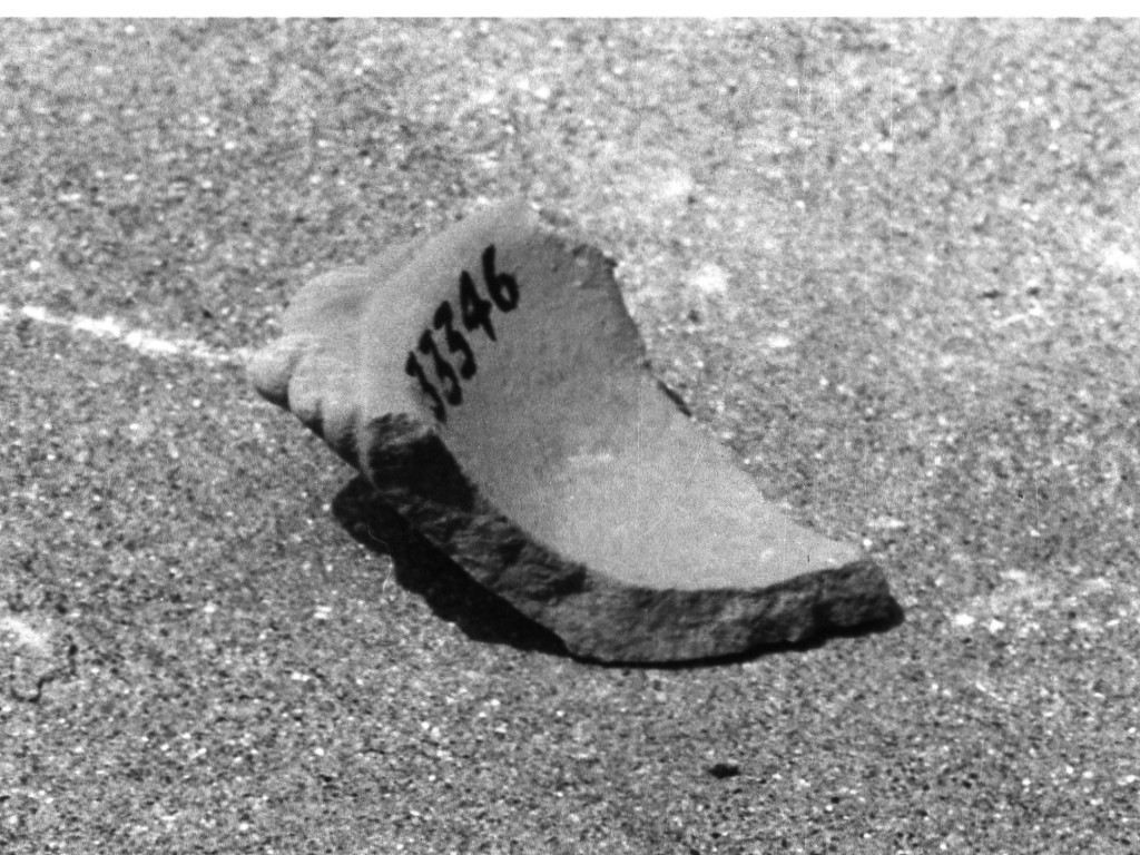 recipiente di forma aperta (non determinabile)