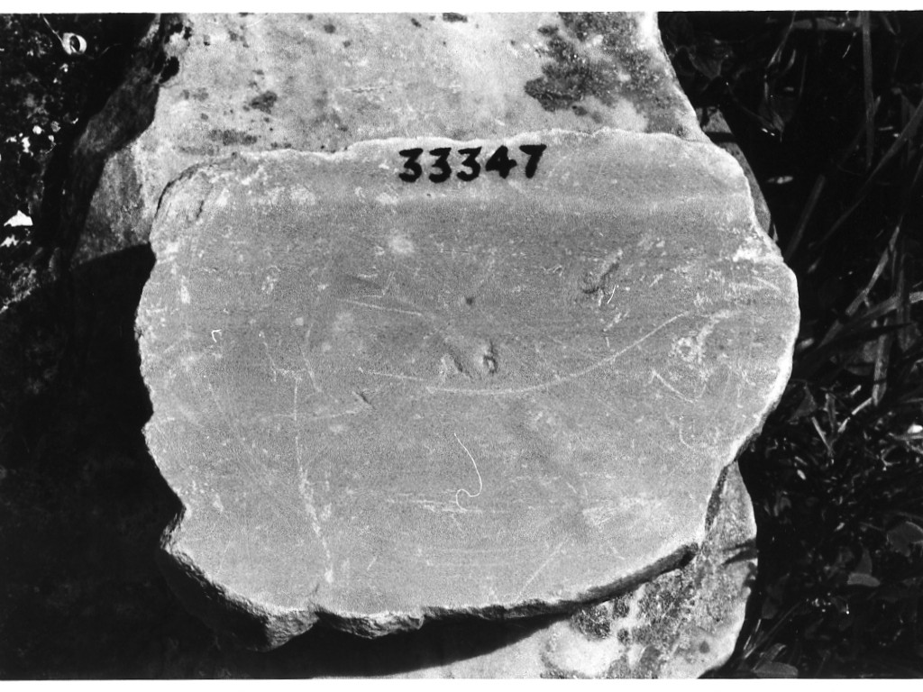 recipiente di forma aperta (non determinabile)