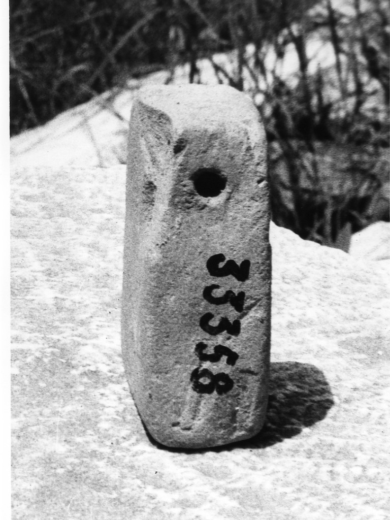 peso da telaio (non determinabile)