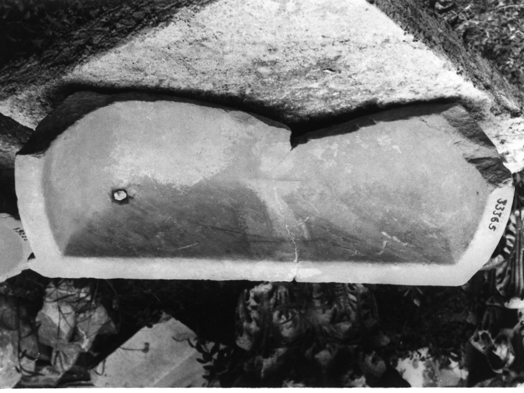 vaschetta (non determinabile)