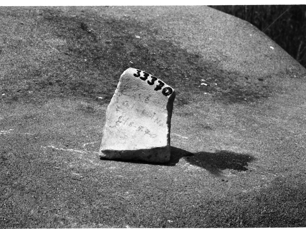 recipiente di forma aperta (non determinabile)