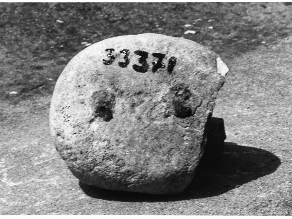 peso (non determinabile)