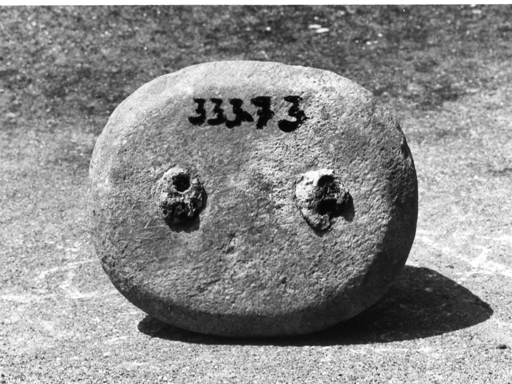 peso (non determinabile)