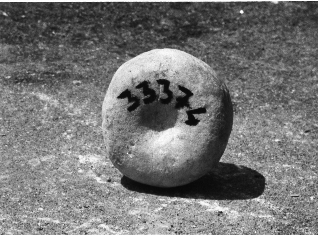 peso (non determinabile)